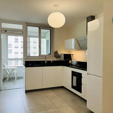 Apartment 2 Ch, Climatise, Parking, Localisation Premium Lyon