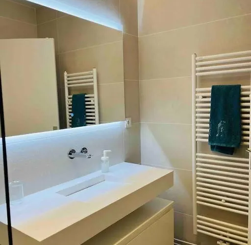Appartement 2 Ch, Climatisé, Parking, Localisation Premium Lyon